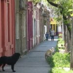 Barrio Cementerio 10