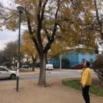 Barrio Cementerio 26