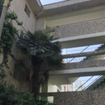 Las Edades de Providencia 2