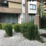 Las Edades de Providencia 4