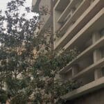 Las Edades de Providencia 4