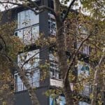 Las Edades de Providencia 4